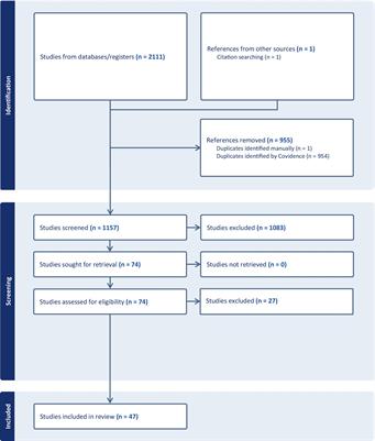 Perinatal influences on academic achievement and the developing brain: a scoping systematic review